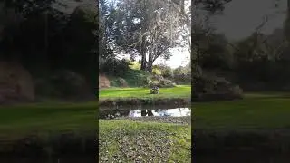 Pearl Park, Foster, Victoria, Australia