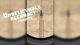 Shooting a Bullet Into Another Rifle 