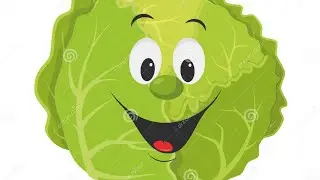 hydroponic lettuce