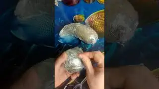 Хранение свеклы впрок 100% вариант)