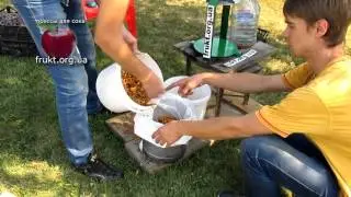 Juice press for squeezing juice from apples and grapes