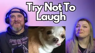 UNUSUAL MEMES COMPILATION V252 | HatGuy & 