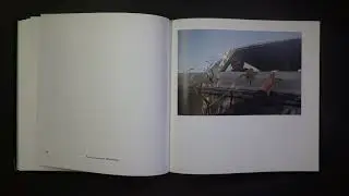 William Eggleston - William Eggleston's Guide