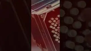POR LA HUELLA - ESTRENO 9 DE JULIO 🔴☑️