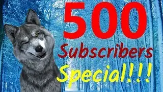 500 subscriber special - Q and A