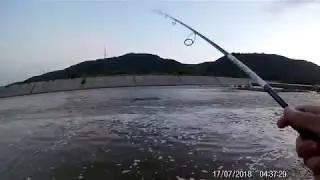 2 Cleni pe Olt 2018