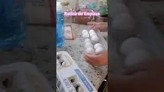 Rutina de limpieza / limpia conmigo