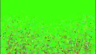 Advance Green Screen Celebration Effect !