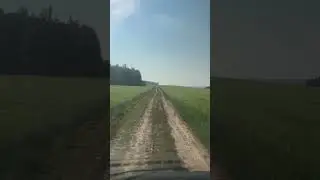 Дорога цветов