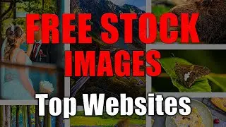 Where To Find 100% Free Stock Photos (No Copyright)