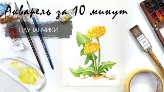 Рисуем одуванчики акварелью за 15 минут. Быстрые зарисовки. Акварель для новичков