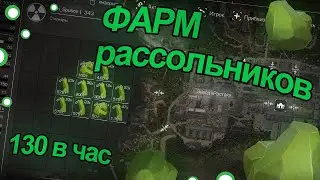 STALCRAFT Самый выгодный способ фарма рассольников (не актуально)