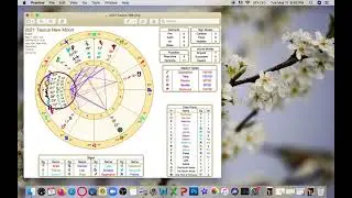 Self-Value, New Mind | 2021 Taurus New Moon | Monthly/Yearly Growth Cycles