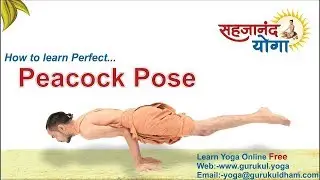 How to do Peacock pose  By Swami Yogdarshan || English || Increases digestive power||