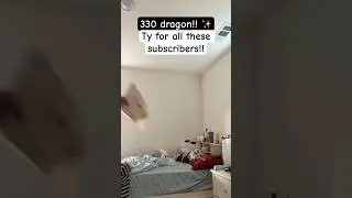 330 subscribers DRAGON! Ok it’s not that good but. Yeah-