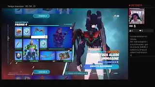 Fortnite pro