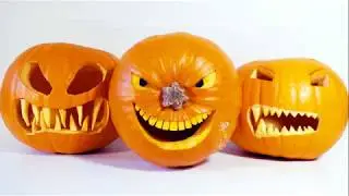 Поделки из тыквы / поделки своими руками