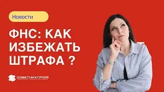 ФНС: как избежать штрафа