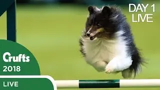 Day 1 Live Stream | Crufts 2018