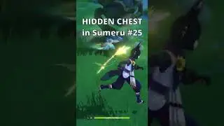HIDDEN CHEST you might have missed in Sumeru #25 | Genshin Impact 