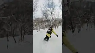 A Perfect Powder Day ❄️ 
