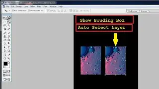 How to Show Bouding Box, Auto Select Layer (Adobe Photoshop)