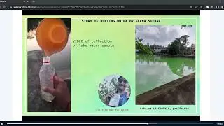 Sample of pond water is collected by Seema to obtain Moina