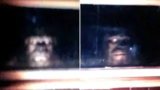 This Man Was Able To Capture The Clearest Images Of Bigfoot Ever Taken