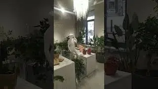 Floristudio 2