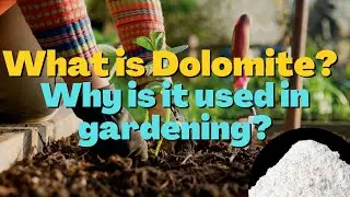 What is Dolomite? Why is it used in gardening?