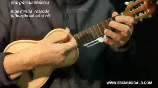 Margarida Moleira Cavaquinho rasgado