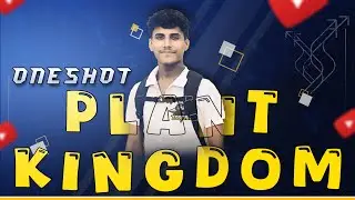 🔴 Plant Kingdom • Class 11 NCERT Explanation