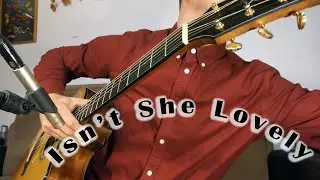 Isn't She Lovely / Stevie Wonder / Fingerstyle Guitar