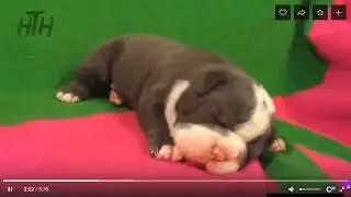 Окончание
