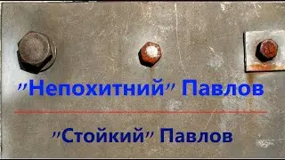 "Стойкий" Павлов