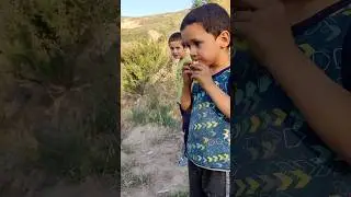 #tajikistan #рек #хит #shortvideo #love