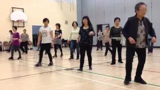 Get Up & Try! ~ Line Dance ~ Ann-Kristin Sandberg (dance & walk thru) ~ Zootopia