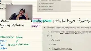Gastrulation #1