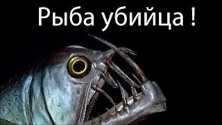 Симулятор Рыбы Мутанта