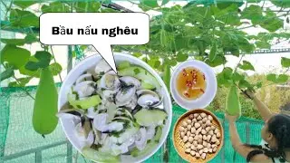 Hái bầu nấu canh nghêu | đơn giản mà ngon