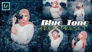 BLUE TONE | FREE LIGHTROOM PRESET DNG