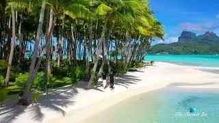 Motu Tane Private Island | Bora Bora, French Polynesia 🇵🇫 | Marcus Anthony & Bob Hurwitz | Part 25