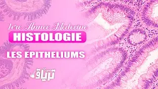 #HISTOLOGIE 1ère année - TMC CAMP : EPITHELIUMS de REVETEMENT | By Islam