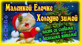 Маленькой Елочке холодно зимой с веселыми смешными Котами, детские новогодние зимние песни с текстом
