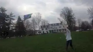 Let's Go Fly A Kite