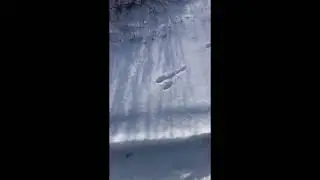 Мужик чей писюн убежал