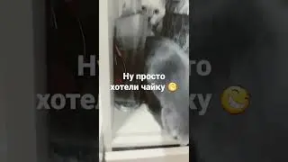 28 января 2023 г.