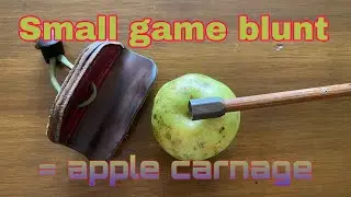Small game blunt destroys apple