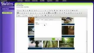 SiteSkins: How to Link to a PDF or Other Document