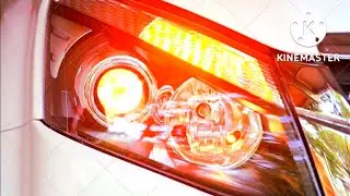 The Halogen Lamps. The Revolutionary Science.